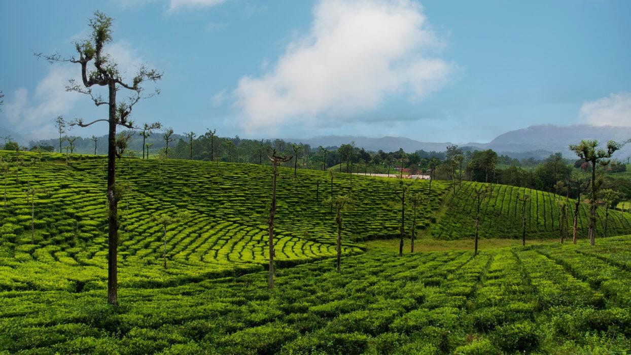 13 Nights and 14 Days in Hidden Treasures of South India