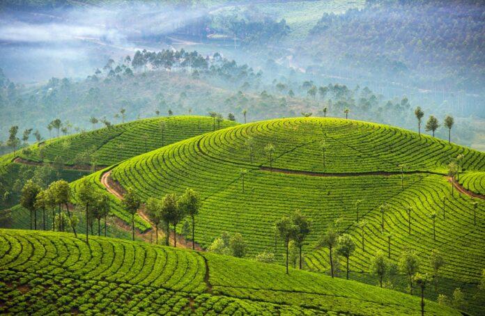 13 Nights and 14 Days in Hidden Treasures of South India