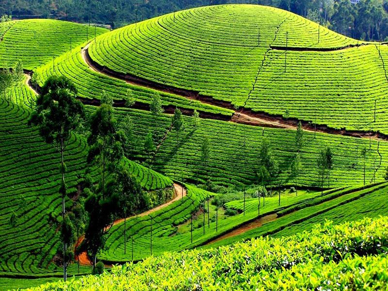 2 Nights 3 Days in Ooty