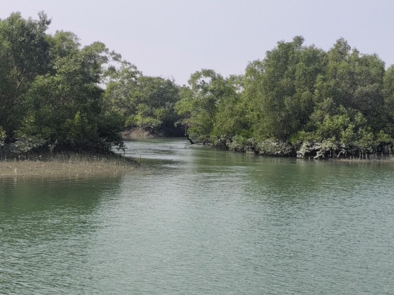 2 Nights 3 Days Sundarban Tiger Cruise