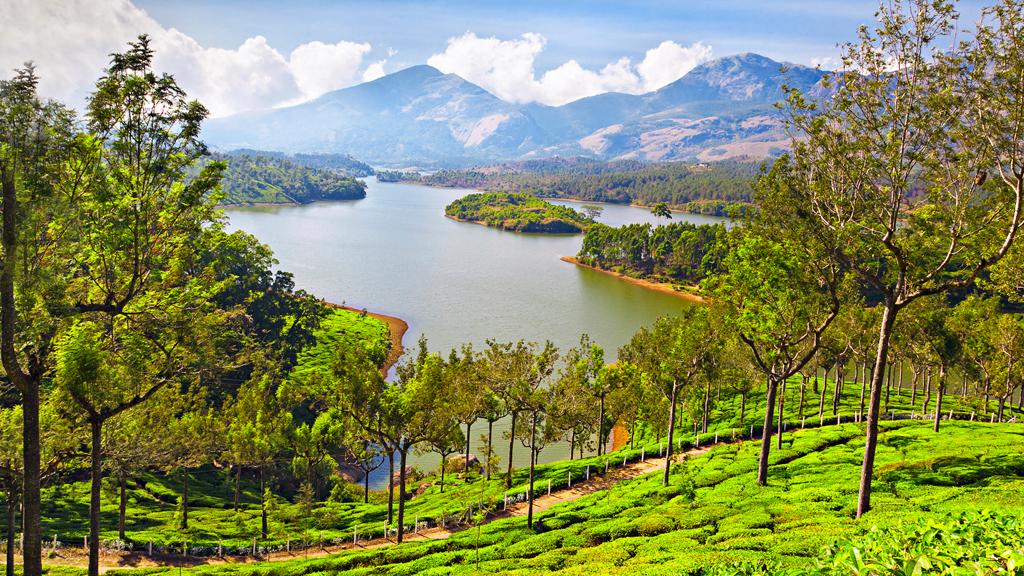 2N Awesome Munnar
