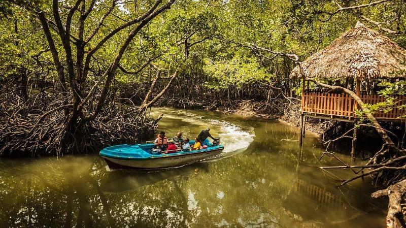 3N Andaman Tour | Port Blair, Havelock And Baratang