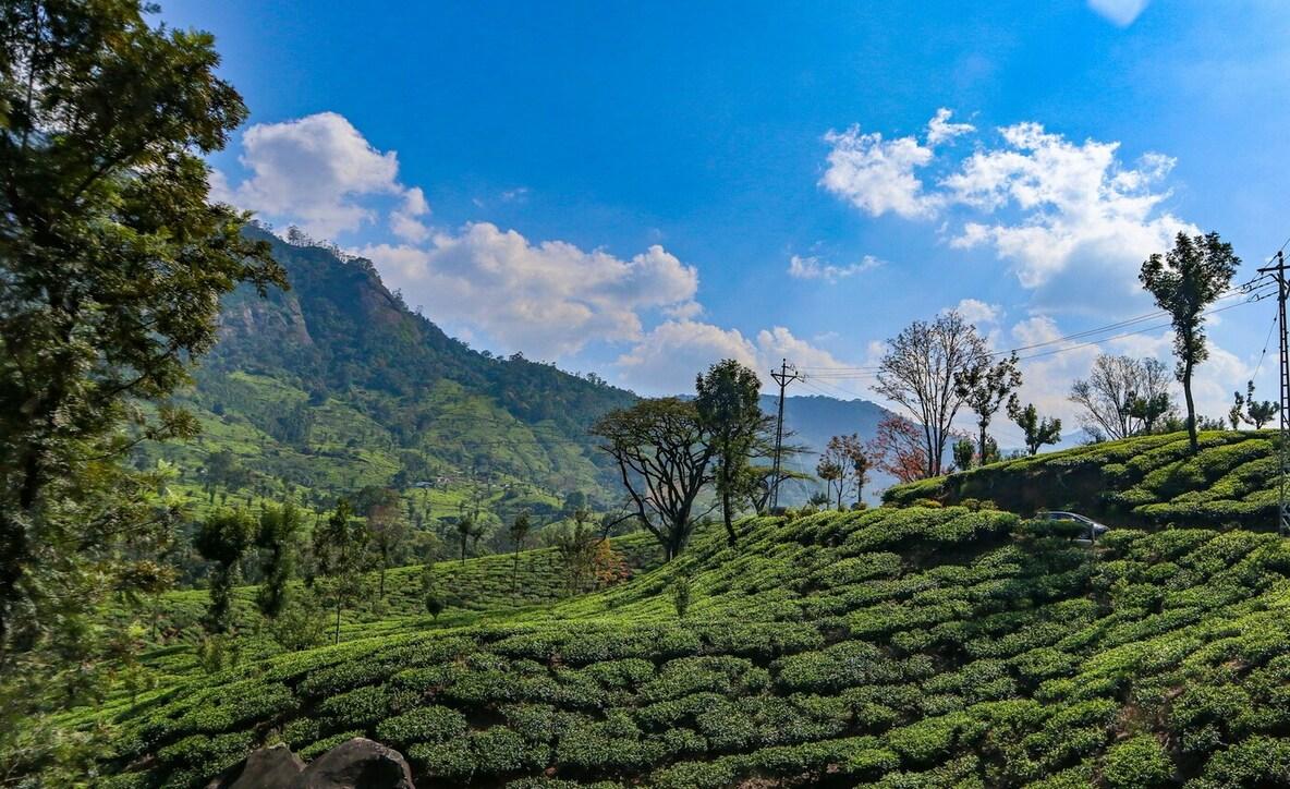 3N Charming Kerala with Houseboat Stay