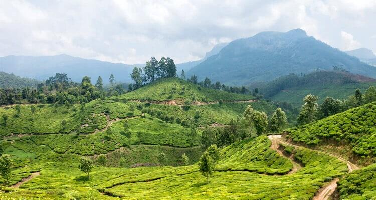3N - Karnataka - Mysore And Wayanad - Wayanad Winds