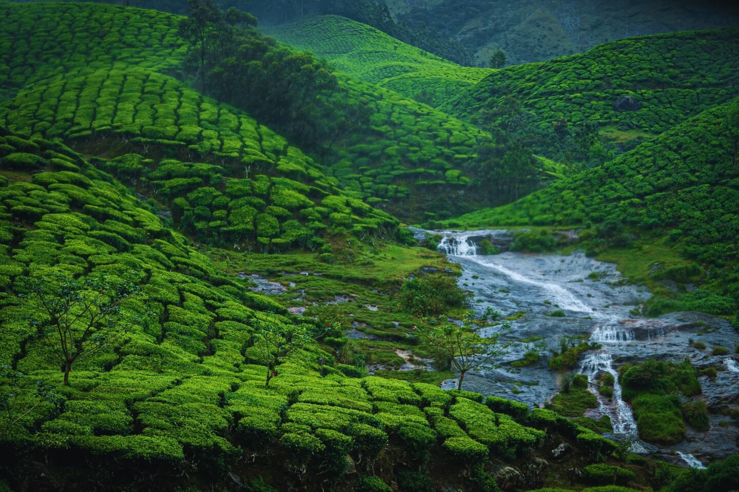 3N Kerala Tour (3 Star Package)