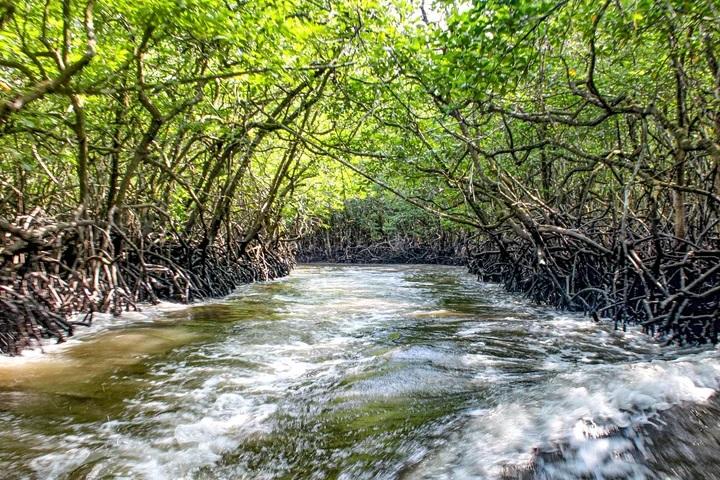 3N Ultimate Andaman Experience
