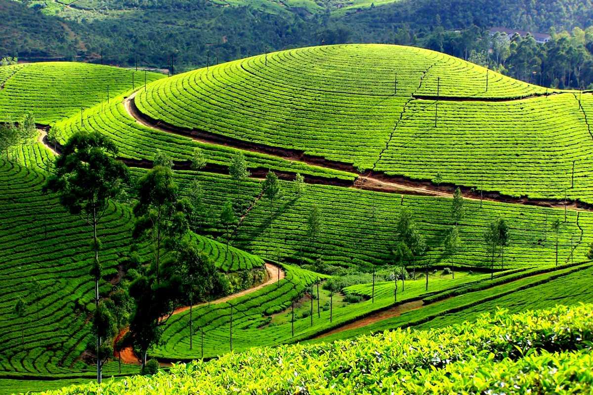 4N Amazing Kerala Tour