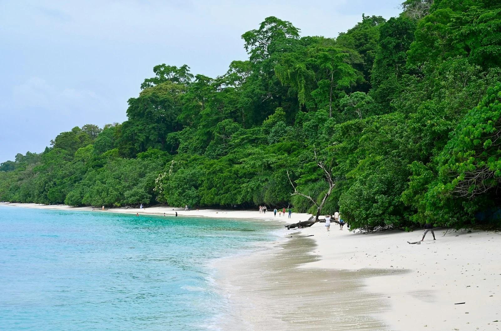 4N Andaman | Port Blair, Havelock, Elephant Beach, Baratang | 3 Star Hotels