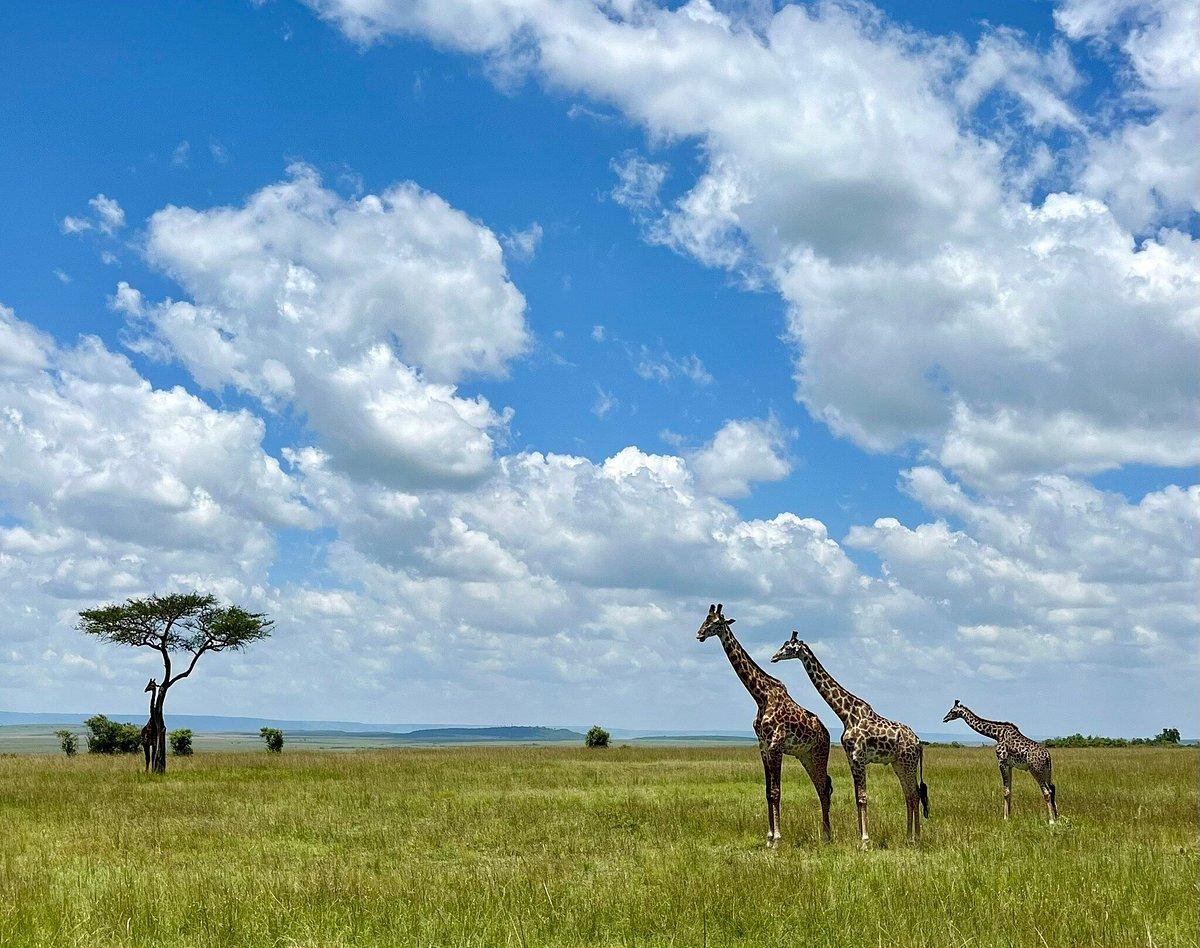 4N Kenya-Nairobi,Lake Nakuru National Park Heaven of Flamingo
