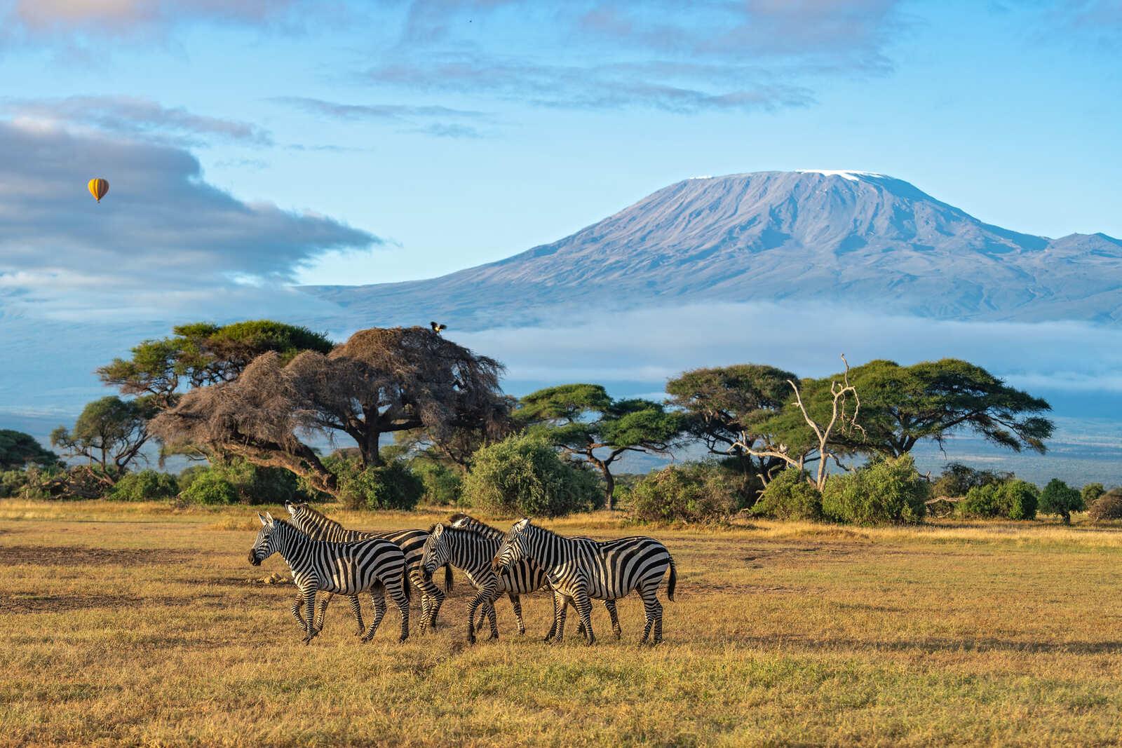 4N Kenya, Naivasha-Maasai Mara