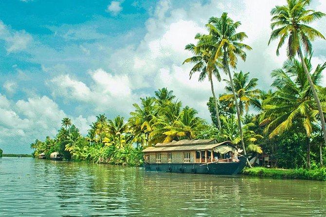 5 Nights / 6 Days Assam Wildlife