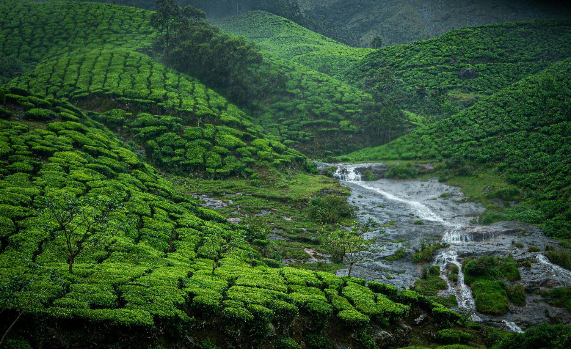5N Getaway to Kerala