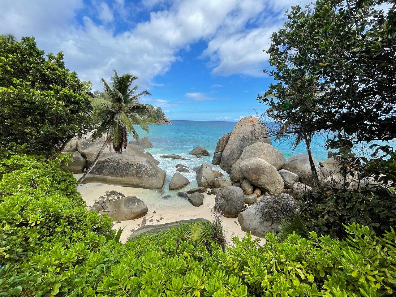 5N Seychelles Honeymoon Package