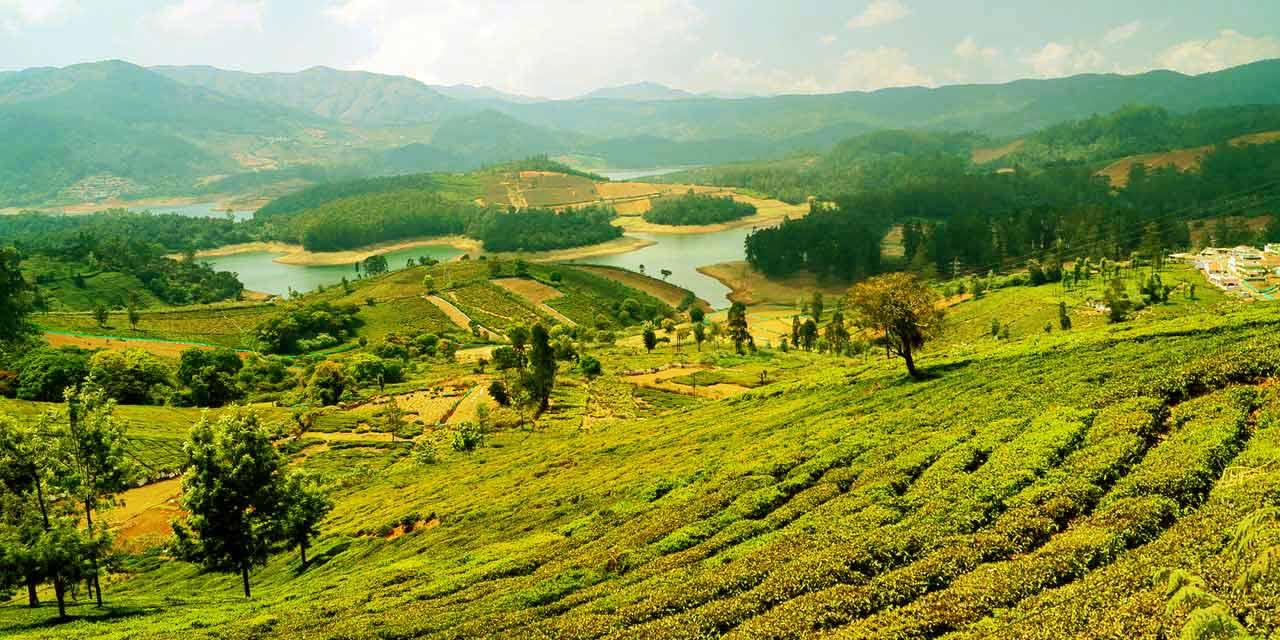 6 Nights & 7 Days in Mysore, Nagarhole, And Ooty
