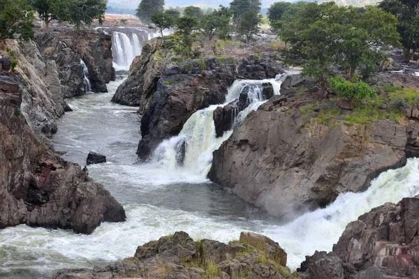 6 Nights / 7 Days Madhya Pradesh Wildlife - Panna, Bandhavgarh and Kanha