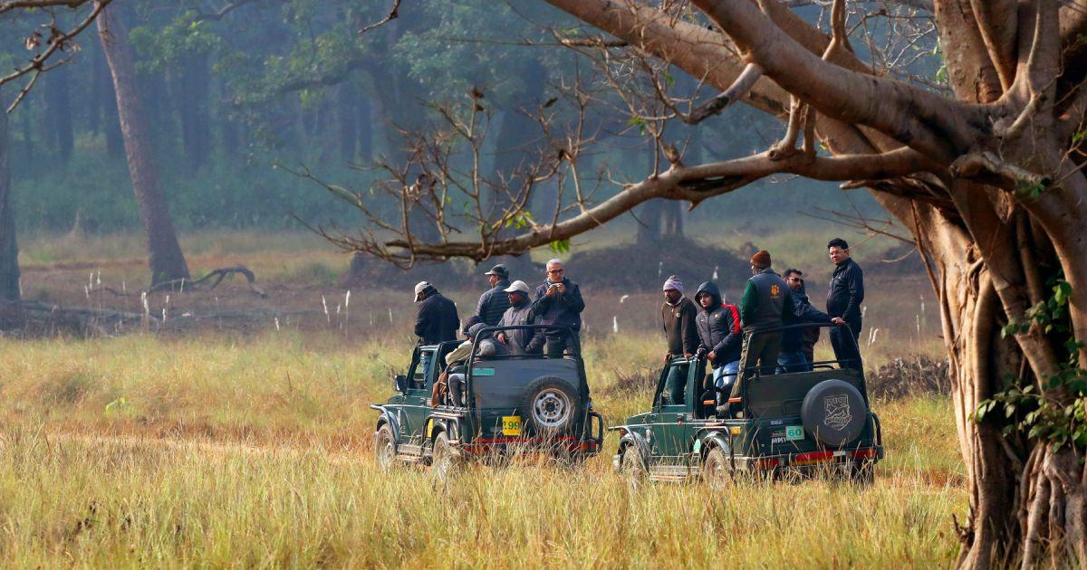 6 Nights / 7 Days Madhya Pradesh Wildlife - Panna, Bandhavgarh and Kanha