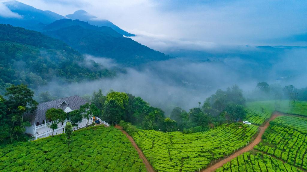 6N Glimpse of Kerala