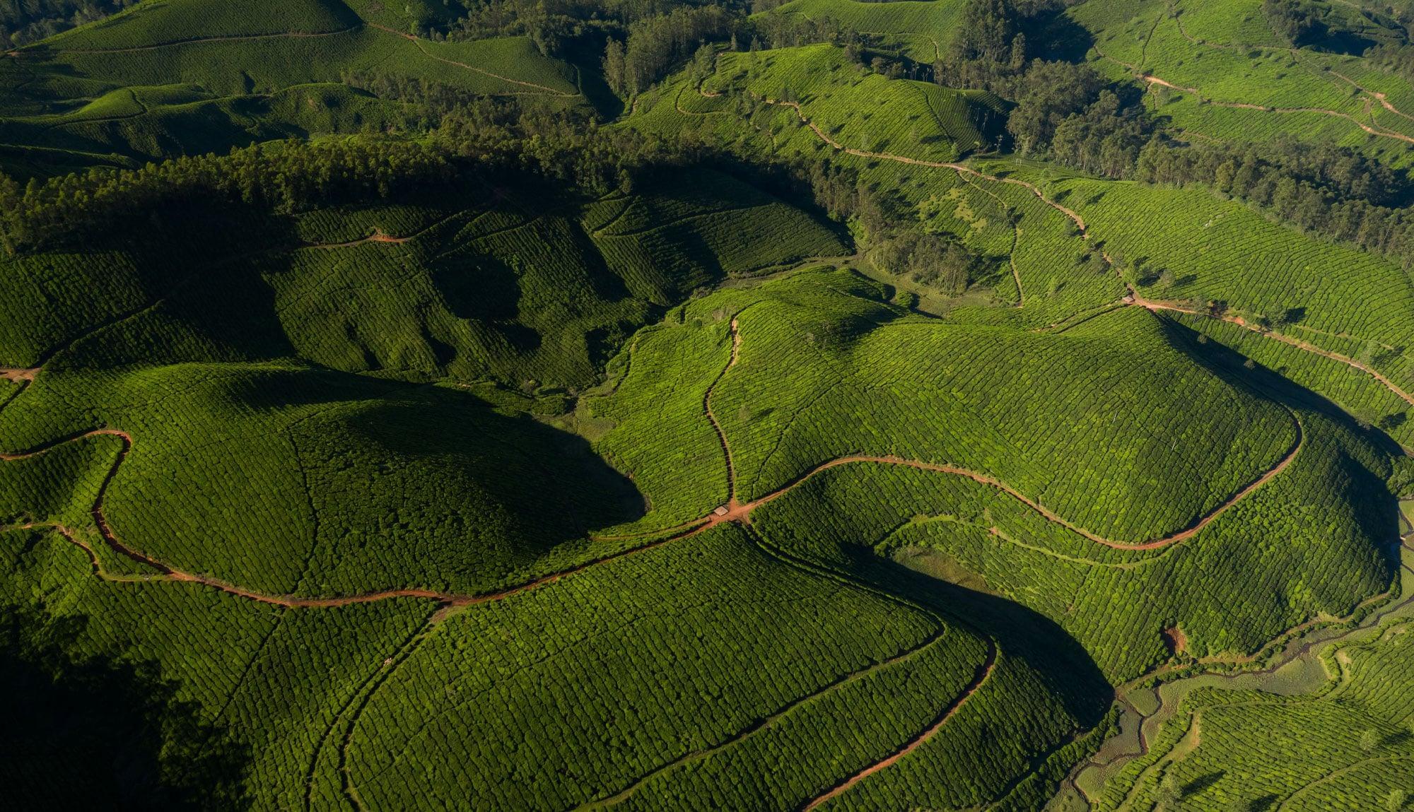 6N Karnataka - Bangalore, Mysore, Wayanad And Ooty - Mount Avenue