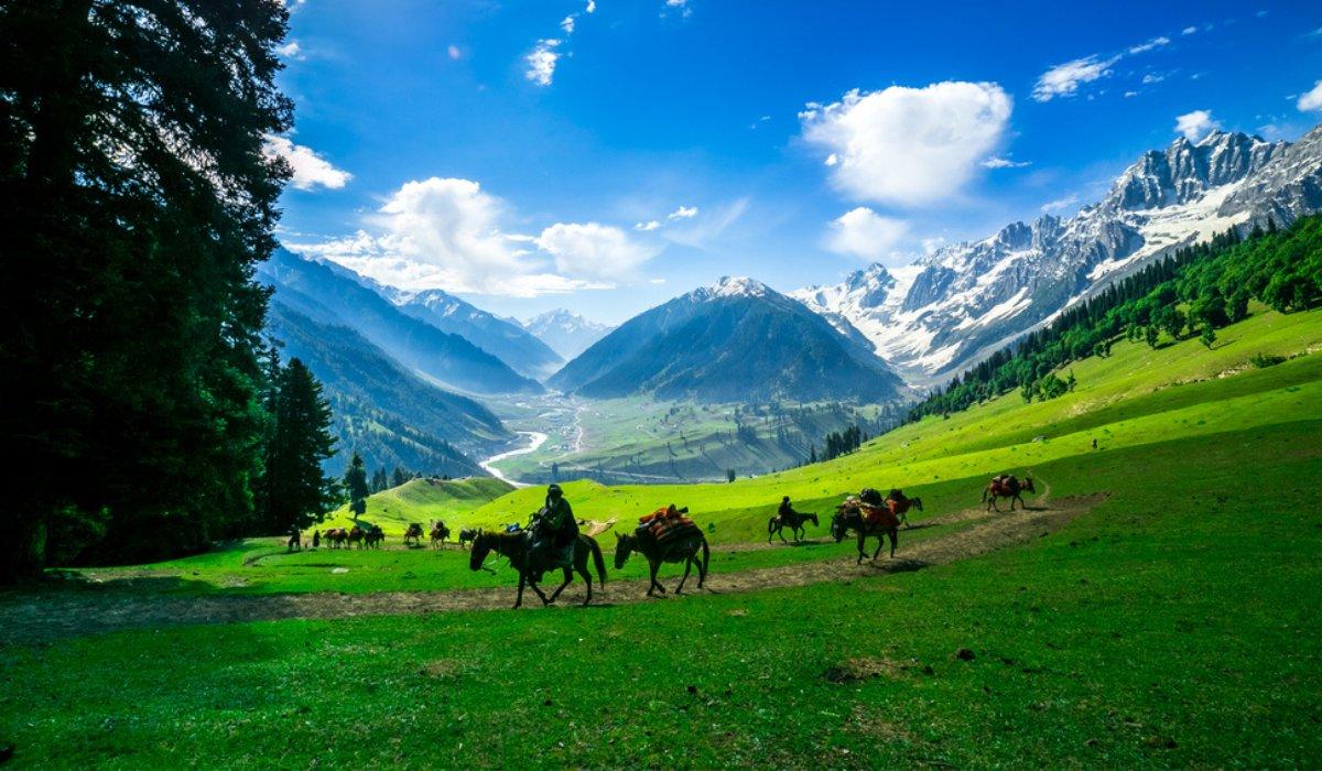 6N Kashmir Exploration