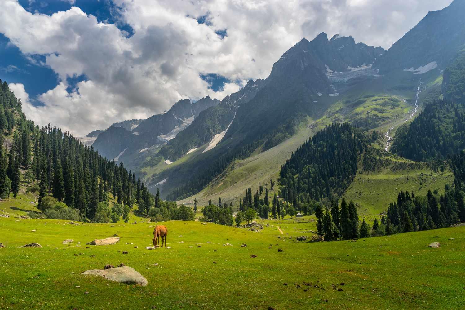 6N Kashmir Exploration