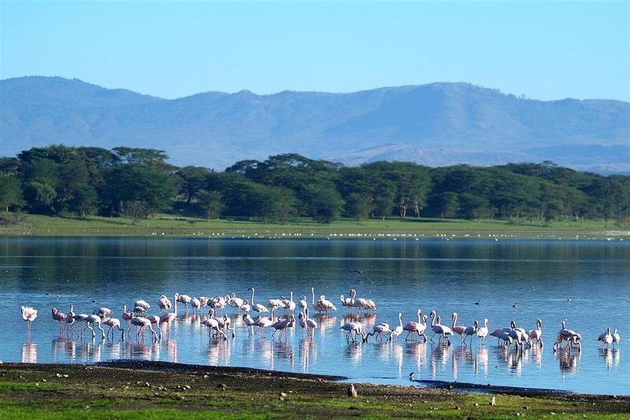 6N Kenya-Glimpse Of Mt. Kilimanjaro