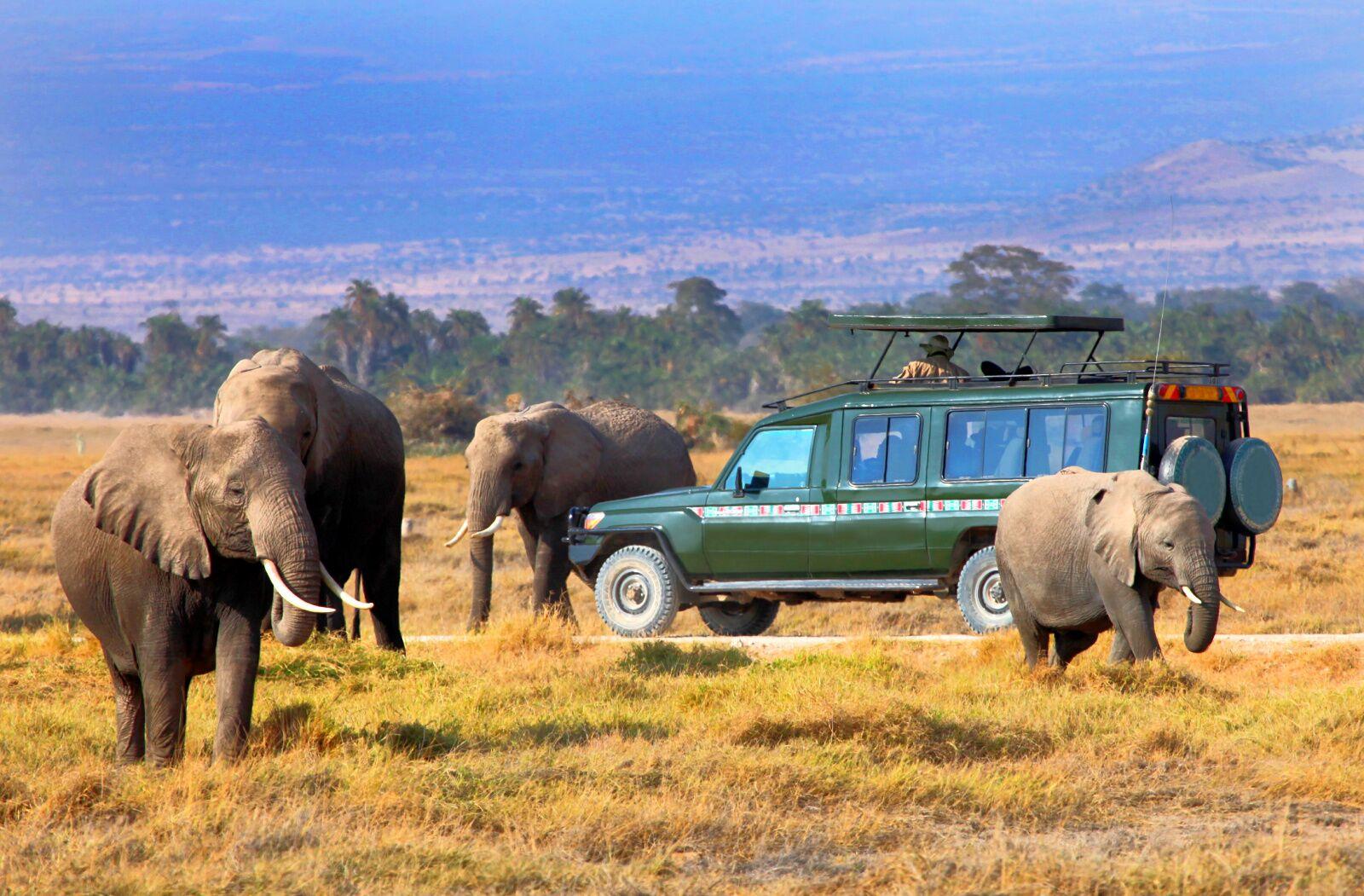 6N Kenya-Glimpse Of Mt. Kilimanjaro