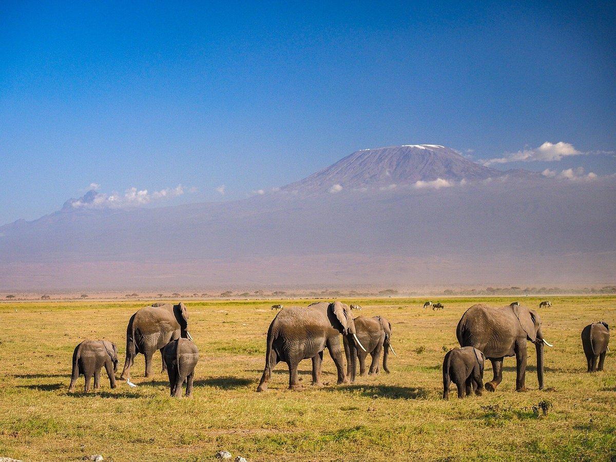 6N Kenya-Glimpse Of Mt. Kilimanjaro