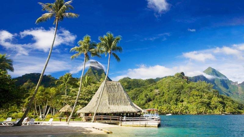 6N Mauritius - Le Grand Bleu (3 Star)