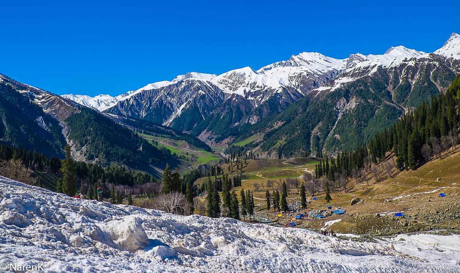 6N Pearls of Jammu and Kashmir