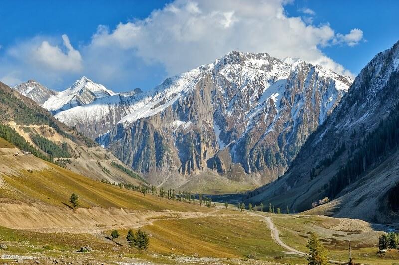 6N Pearls of Jammu and Kashmir