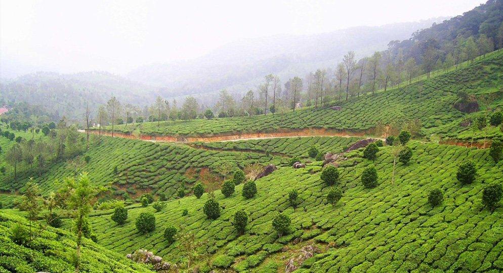 7N Exotic Kerala