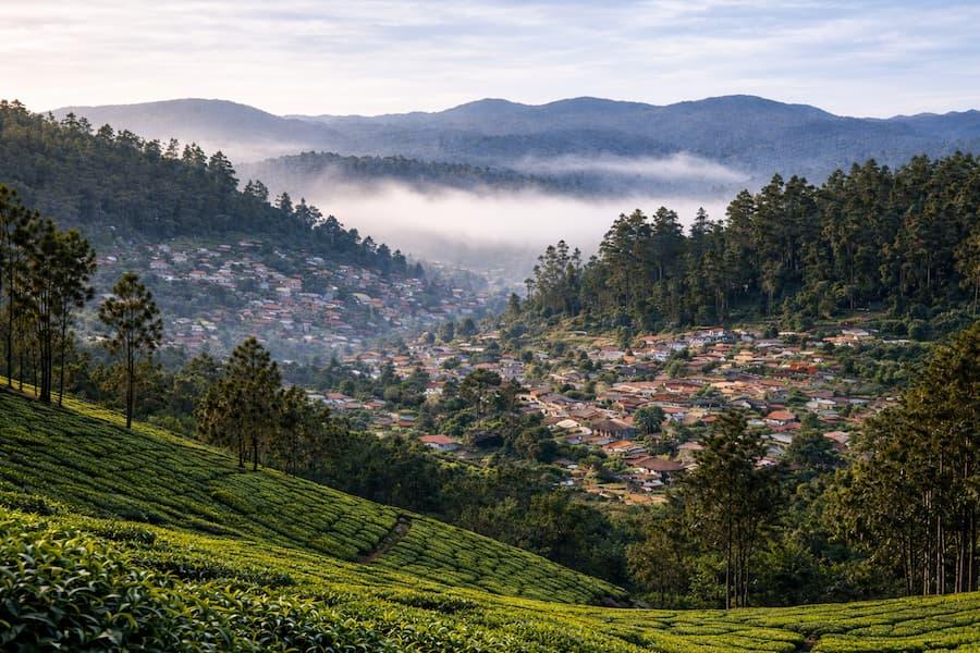 7N Karnataka - Bangalore, Mysore, Ooty And Kodaikanal - Saffron Suites