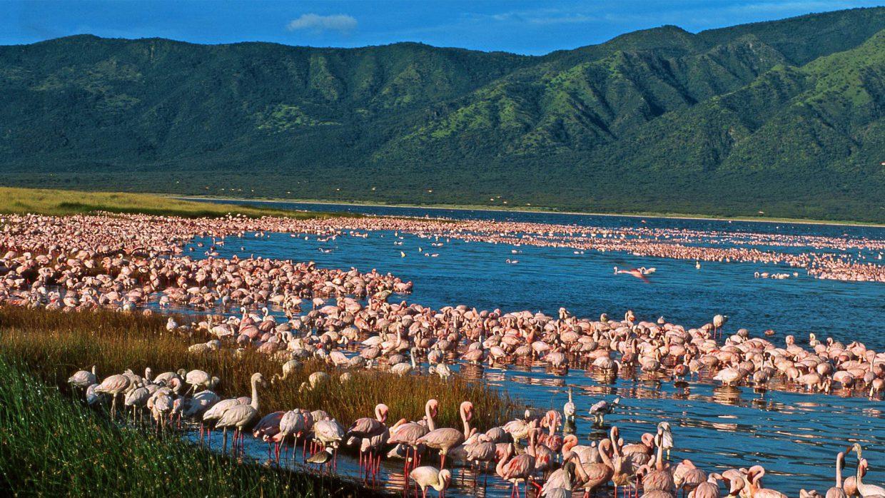 7N Kenya - Serena Safaris