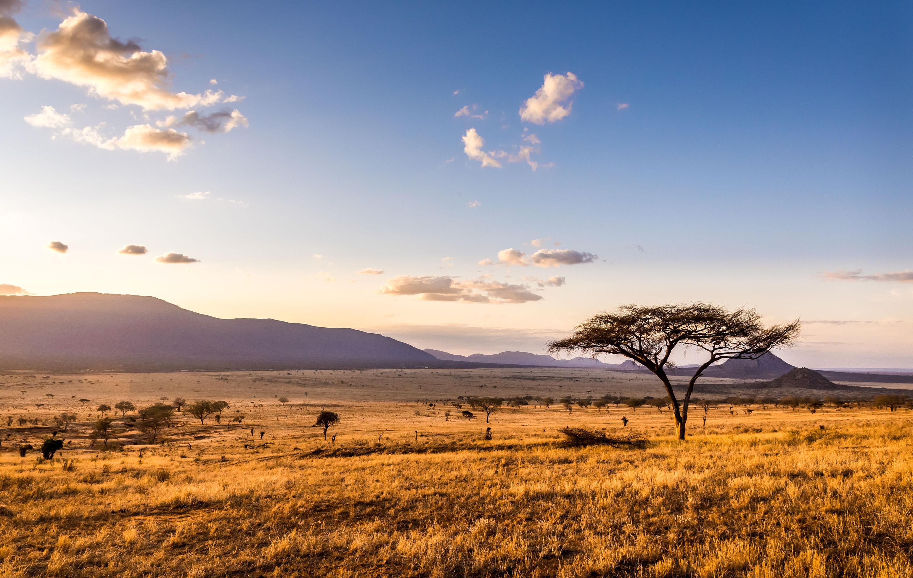 Africa