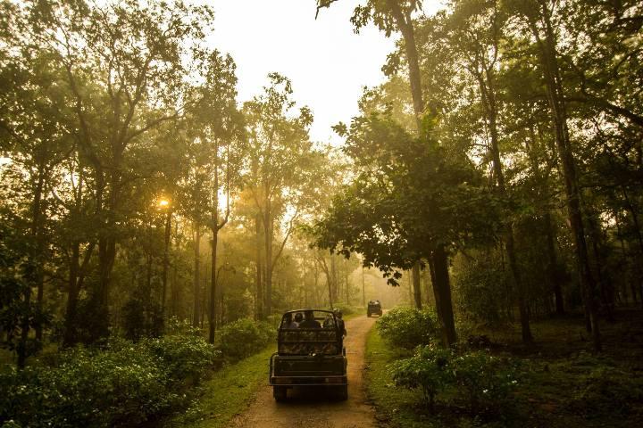 Corbett Nainital Tour Package