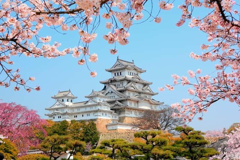 Japan sticker visa-Short stay
