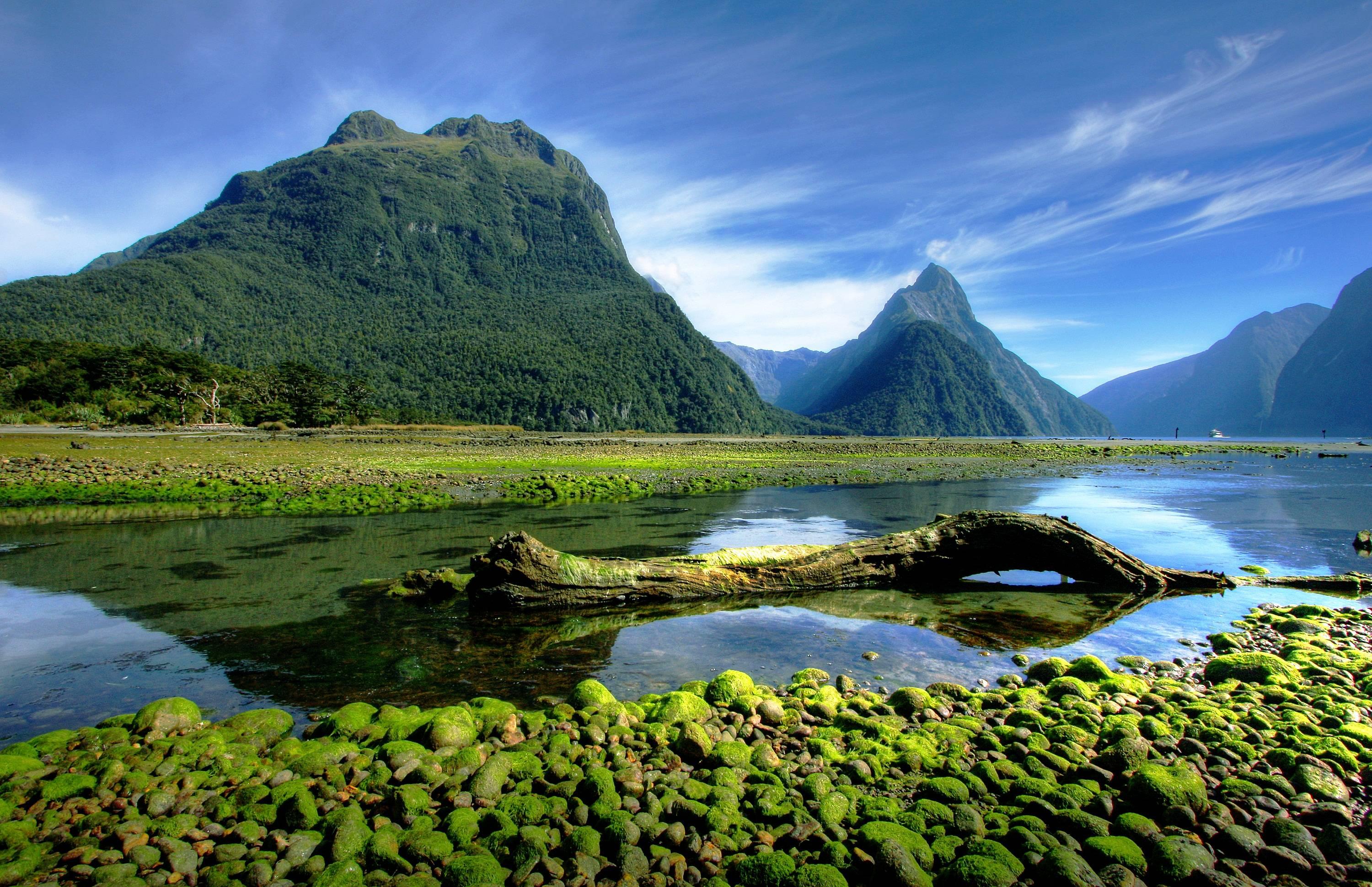 New Zealand Visa