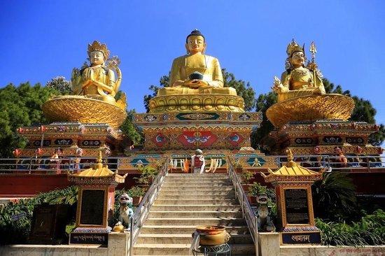 Offbeat Home Stay in Bhalukhop