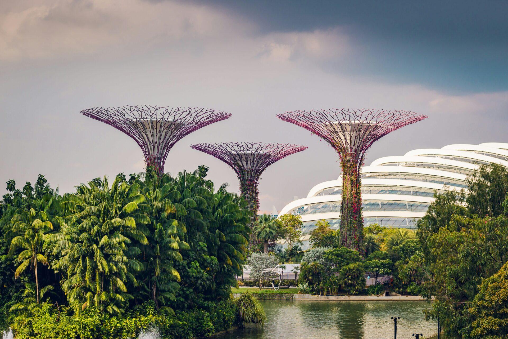 Singapore + Bali